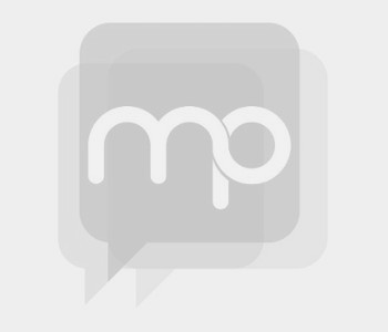 Menuiserie-bois-alu-PVC Angers