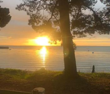 À vendre restaurant rentable, pleine vue mer cadre de vie et horaires attractifs, région Bretagne. image 1