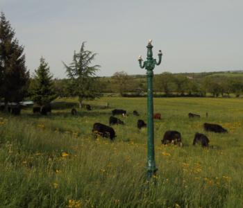 Vends un concept d'agro-tourisme sur 100 ha pour cause de retraite ; énorme potentiel. image 2