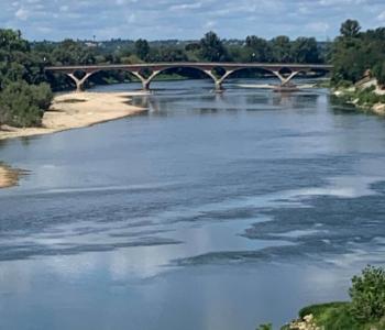 Vends Tabac - Bar - LOTO- PMU, rentable, bon potentiel, bien situé. Région Lot-et-Garonne. image 2