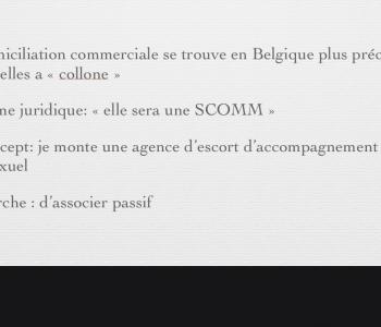 Recherche d’associé(e) investisseur financier. image 1