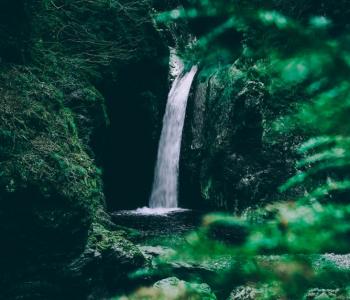 Création d'une entreprise : fabrication et commercialisation d'un produit bien être 100% naturel image 0