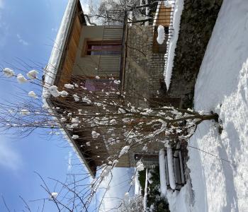 Vends murs et fonds hôtel restaurant Haute-Savoie, belle affaire et avec du potentiel. image 1