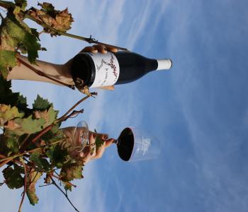 Divers, Services divers Bergerac