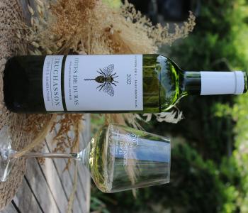 Création d'une activité de communication dans le secteur de l'agriculture, la viticulture, etc... image 1