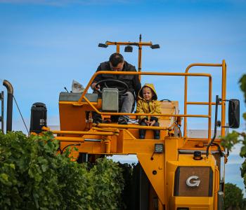 Création d'une activité de communication dans le secteur de l'agriculture, la viticulture, etc... image 2