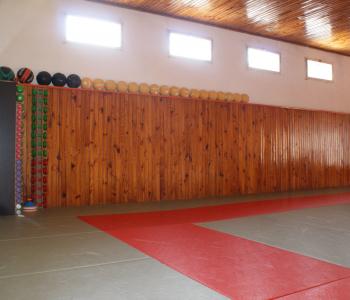 salle de sports (fitness + arts martiaux+yoga) à reprendre image 1